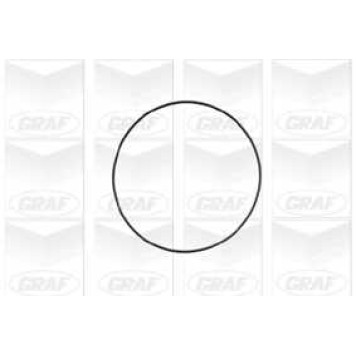 Водяной насос GRAF PA671-1