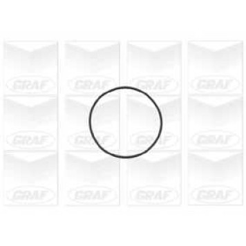 Водяной насос GRAF PA727-1