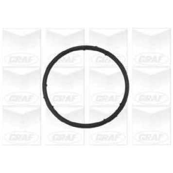 Водяной насос GRAF PA765-1