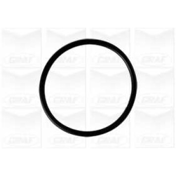 Водяной насос GRAF PA806-1