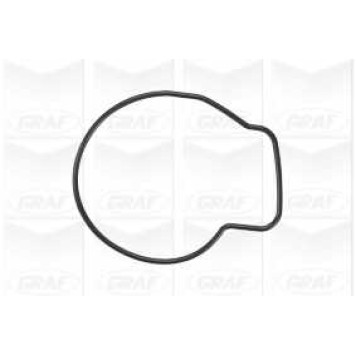 Водяной насос GRAF PA876-1