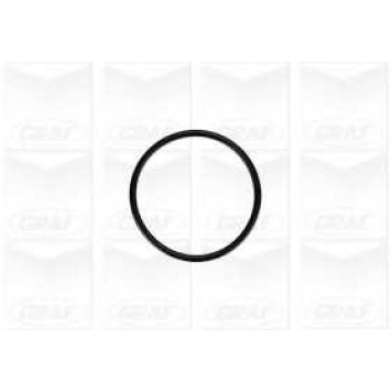 Водяной насос GRAF PA879-1