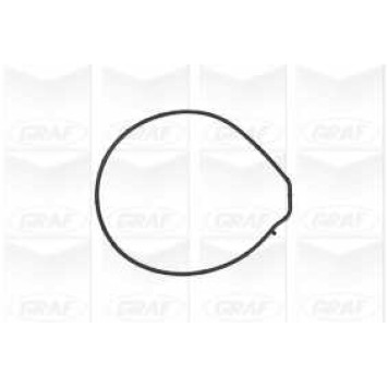 Водяной насос GRAF PA884-1