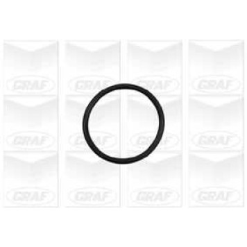 Водяной насос GRAF PA886-1