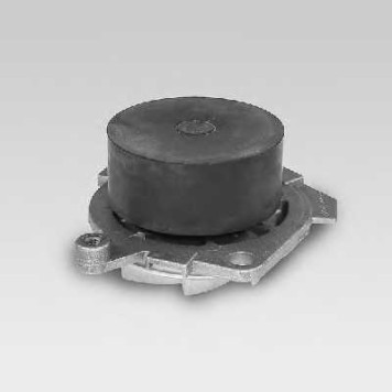 Водяной насос HEPU P1012