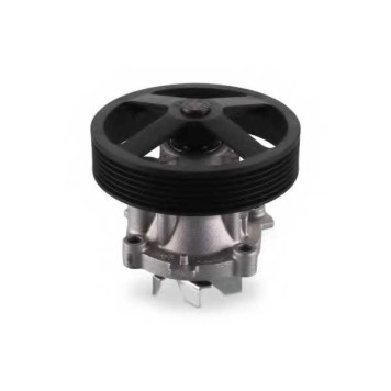 Водяной насос HEPU P323