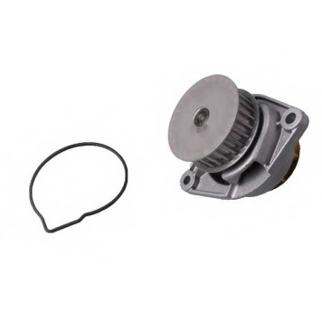 Водяной насос HEPU P557