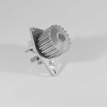 Водяной насос HEPU P813