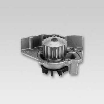 Водяной насос HEPU P961