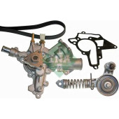 Водяной насос + комплект ручейковых ремней INA 529 0010 30