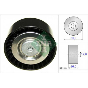 INA 532057110 - ролик (обводной)