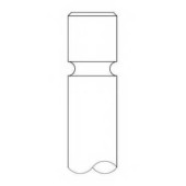 Выпускной клапан INTERVALVES 3113.036