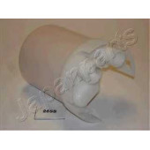 Фильтр топливный JAPANPARTS FC-255S