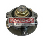 Комплект подшипника ступицы колеса KAMOKA 5500070