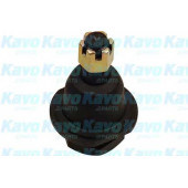 Несущий / направляющий шарнир KAVO PARTS SBJ-6501