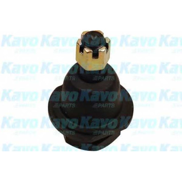 Несущий / направляющий шарнир KAVO PARTS SBJ-6501