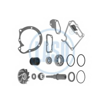 Ремкомплект, водяной насос LASO 20582065