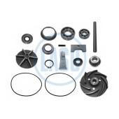 Ремкомплект, водяной насос LASO 98582023