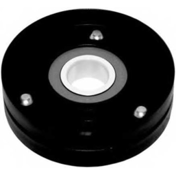 Натяжной ролик поликлинового ременя MAGNETI MARELLI MPQ0255 / 331316170255
