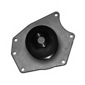 Водяной насос MAGNETI MARELLI WPQ0101 / 352316170101