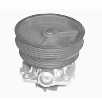 Водяной насос MAGNETI MARELLI WPQ0303 / 352316170303