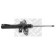 Амортизатор передний для RENAULT MEGANE(BM0/1#, CM0/1#, EM0/1#, KM0/1#, LM0/1#) <b>MAPCO 20158</b>