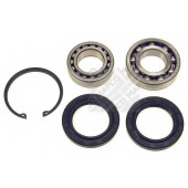 Комплект подшипника ступицы колеса MAPCO 26717