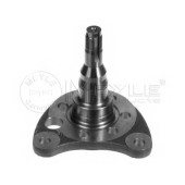 Поворотный кулак, подвеска колеса MEYLE MST0001 / 100 501 0011