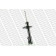 Амортизатор для TOYOTA STARLET(#P8#) <b>MONROE G16161</b>