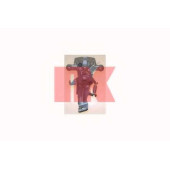 Тормозной суппорт NK 2122150