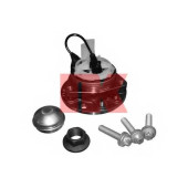 Комплект подшипника ступицы колеса NK 753629