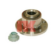 Комплект подшипника ступицы колеса NK 754310