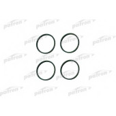 Прокладка впускного коллектора PATRON PG5-1016