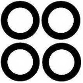 Комплект прокладок впускного коллектора PAYEN HA5030