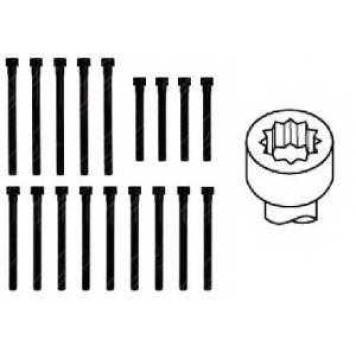 Комплект болтов головки цилидра PAYEN HBS058-1