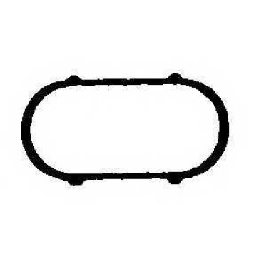 Прокладка впускного коллектора PAYEN JD493