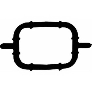 Прокладка впускного коллектора PAYEN JD5108