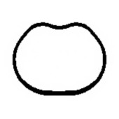 Прокладка впускного коллектора PAYEN JD5866