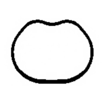 Прокладка впускного коллектора PAYEN JD5866