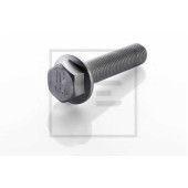 Болт, диск тормозного механизма PE Automotive 010.172-00A