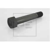 Болт PE Automotive 043.002-30A