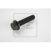 Болт PE Automotive 045.774-00A