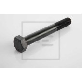 Болт PE Automotive 070.459-00A