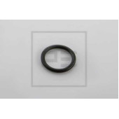 Уплотнительное кольцо PE Automotive 076.234-00A