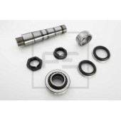 Ремкомплект шкворня поворотного кулака PE Automotive 141.138-10A