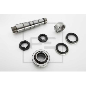 Ремкомплект шкворня поворотного кулака PE Automotive 141.138-10A