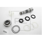 Ремкомплект шкворня поворотного кулака PE Automotive 141.139-10A