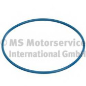 Прокладка, датчик уровня топлива PIERBURG 3.32038.00.0