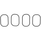 Комплект прокладок впускного коллектора REINZ 11-10000-01