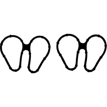 Комплект прокладок впускного коллектора REINZ 11-33448-01